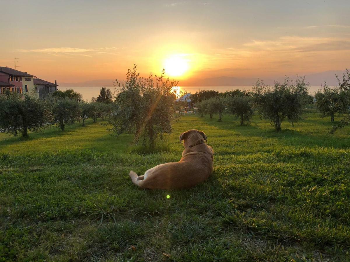 Agriturismo Al-Bor Lazise Exterior photo